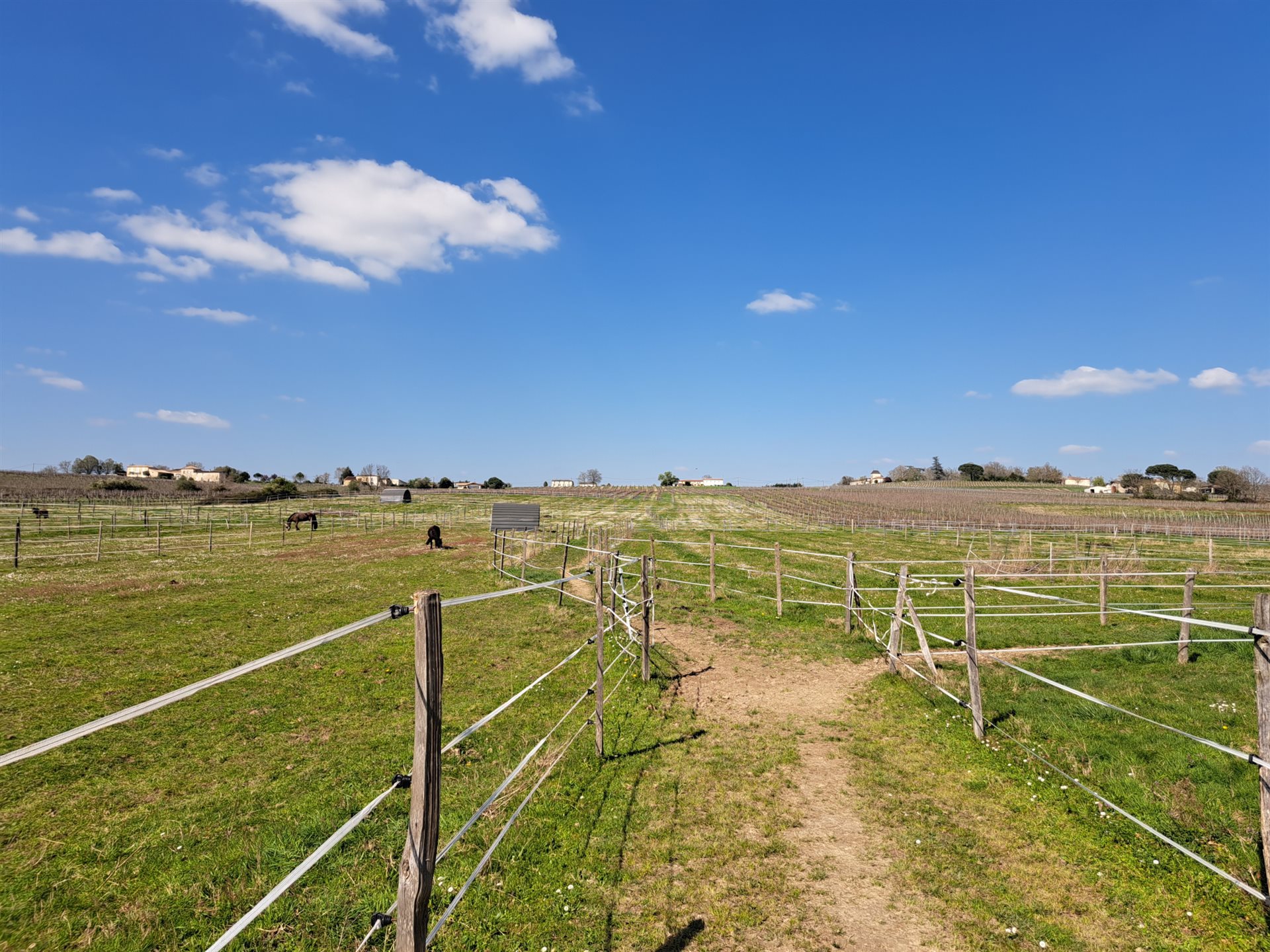 Maison à vendre, 147m², Saint-Macaire