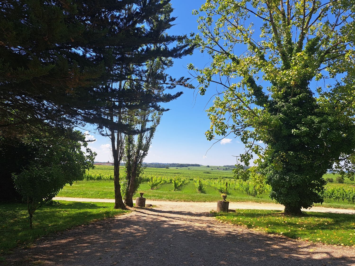 Maison à vendre, 313m², Saint-André-du-Bois