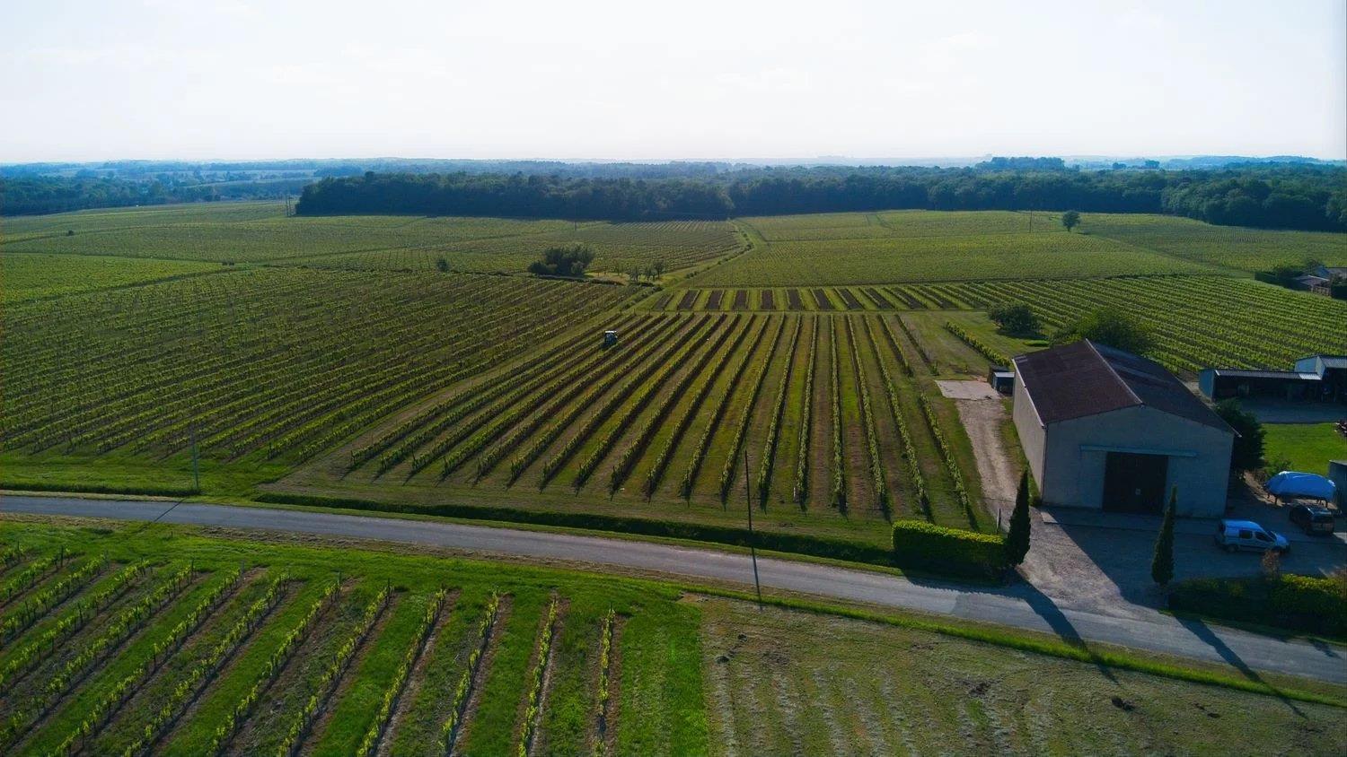Maison à vendre, 288m², Sauveterre-de-Guyenne