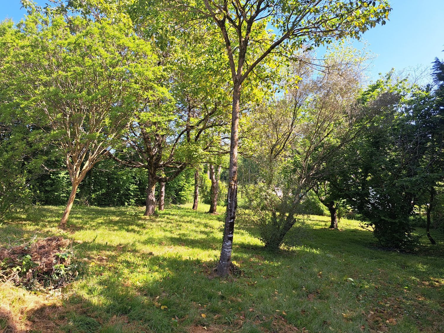 Maison à vendre, 161m², Saint-Macaire