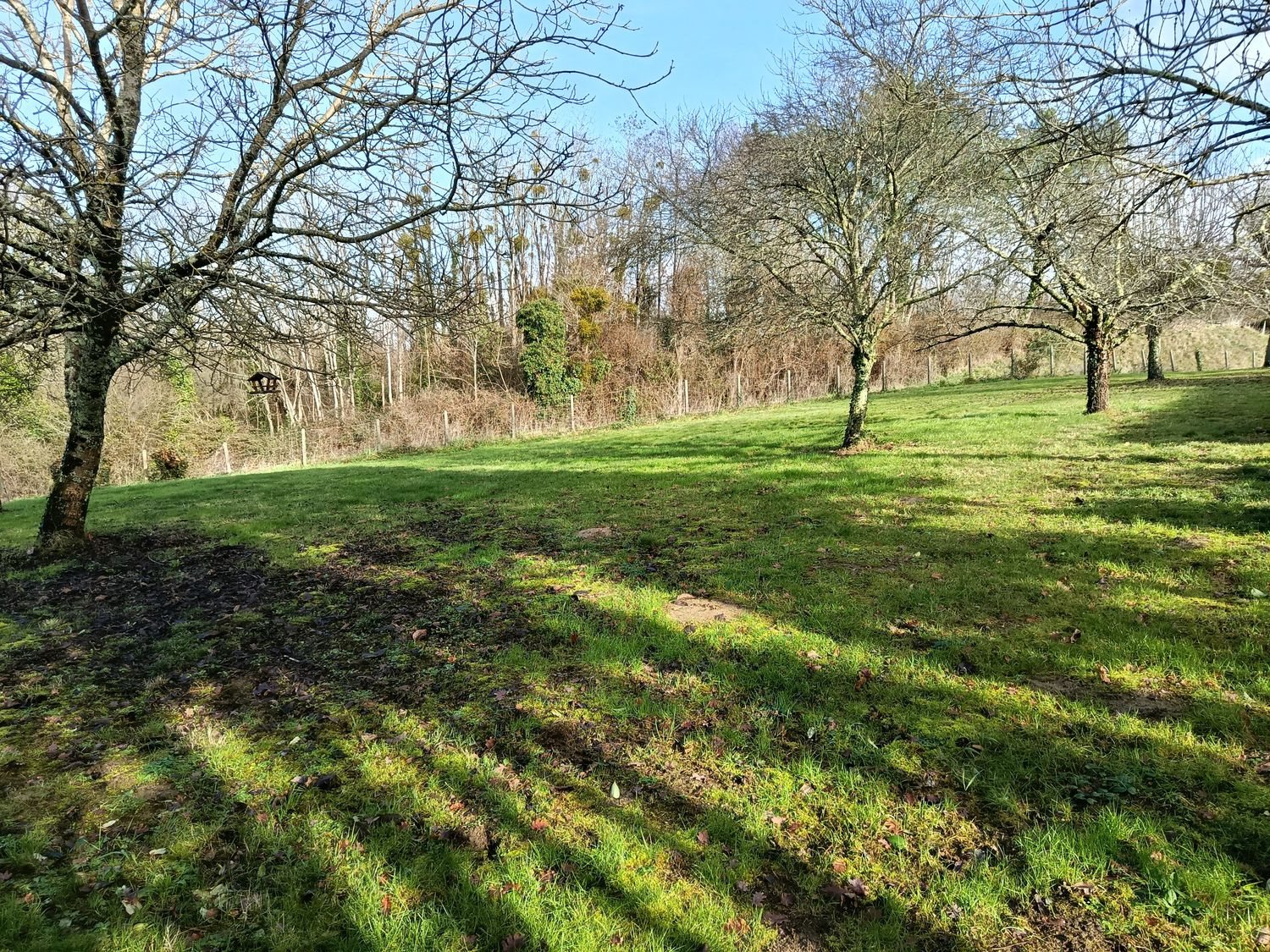 Maison à vendre, 178m², Bourg