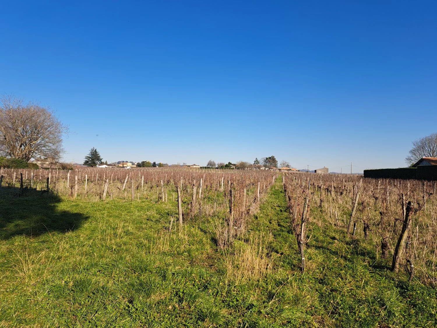 Maison à vendre, 73m², Saint-Émilion