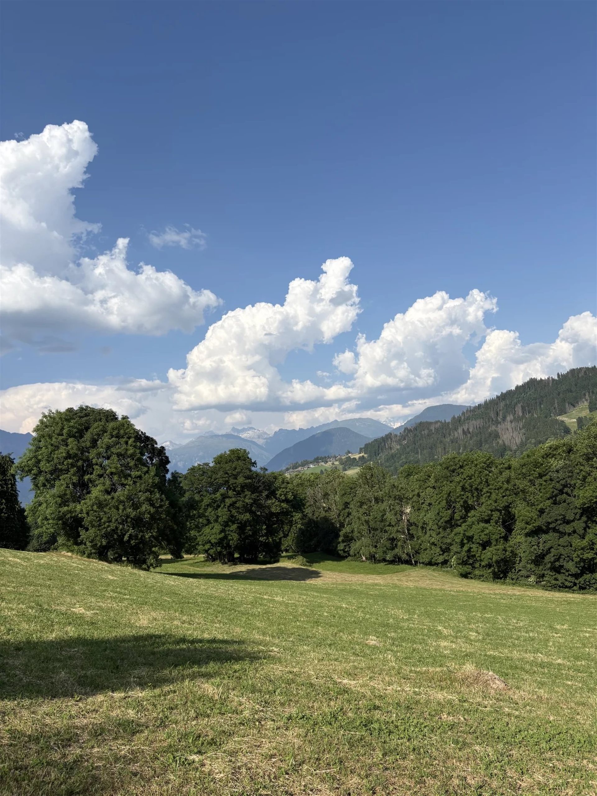 Appartement à vendre, 118m², Megève