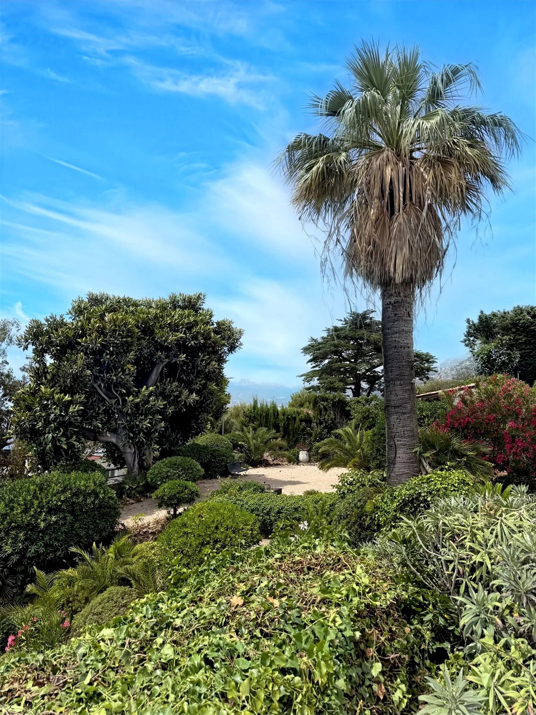 Appartement à vendre, 24m², Roquebrune-Cap-Martin