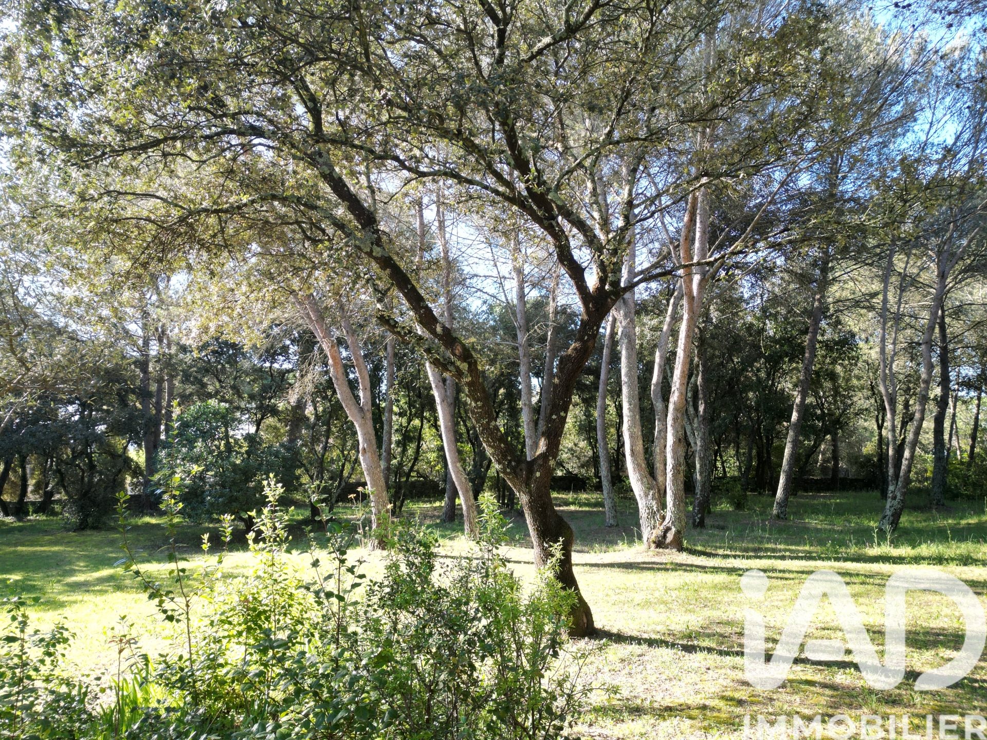 Maison à vendre, 130m², Uzès