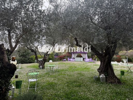 Fara in Sabina (Rieti) photo 2