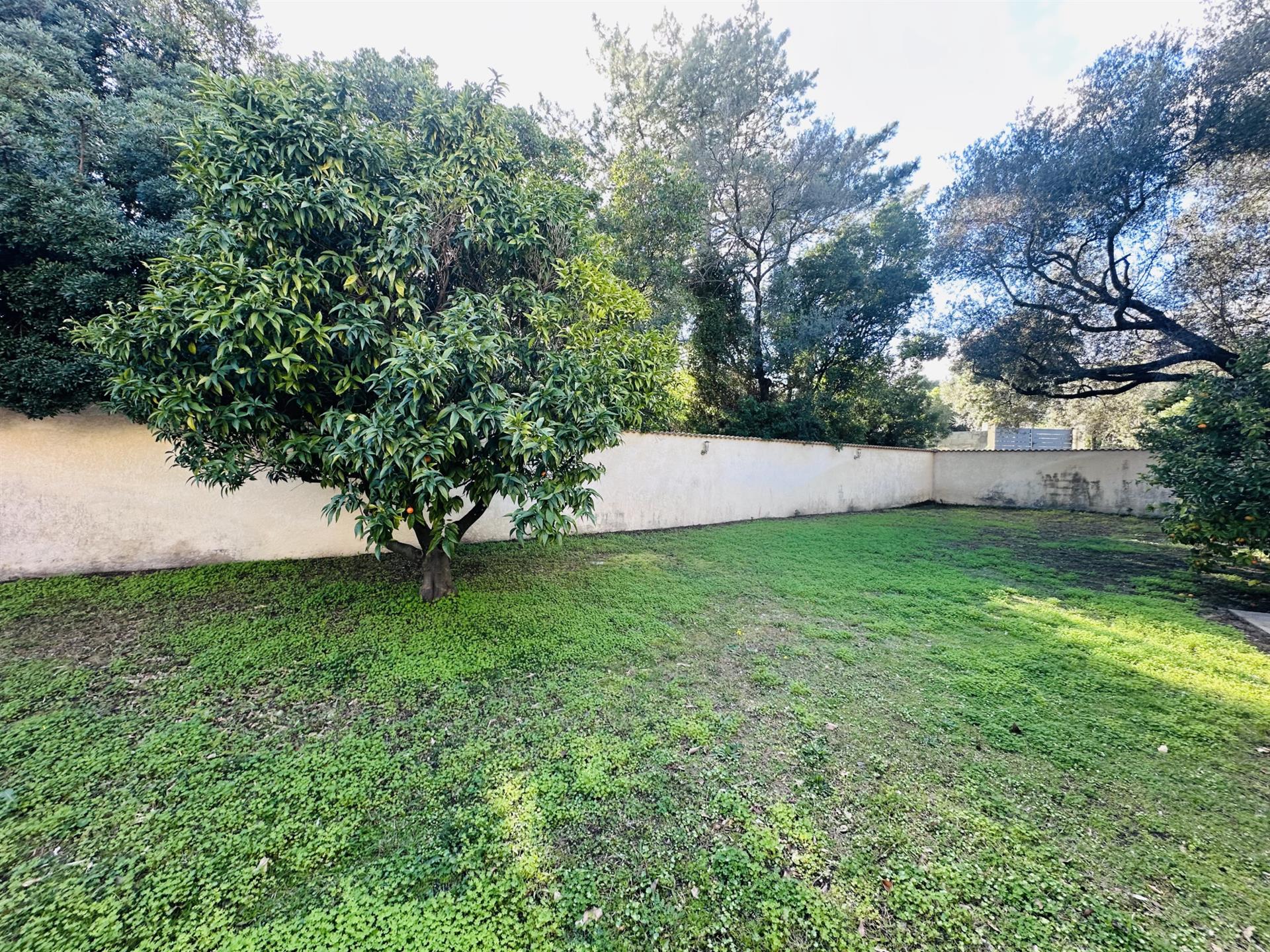 Maison à vendre, 180m², Solaro