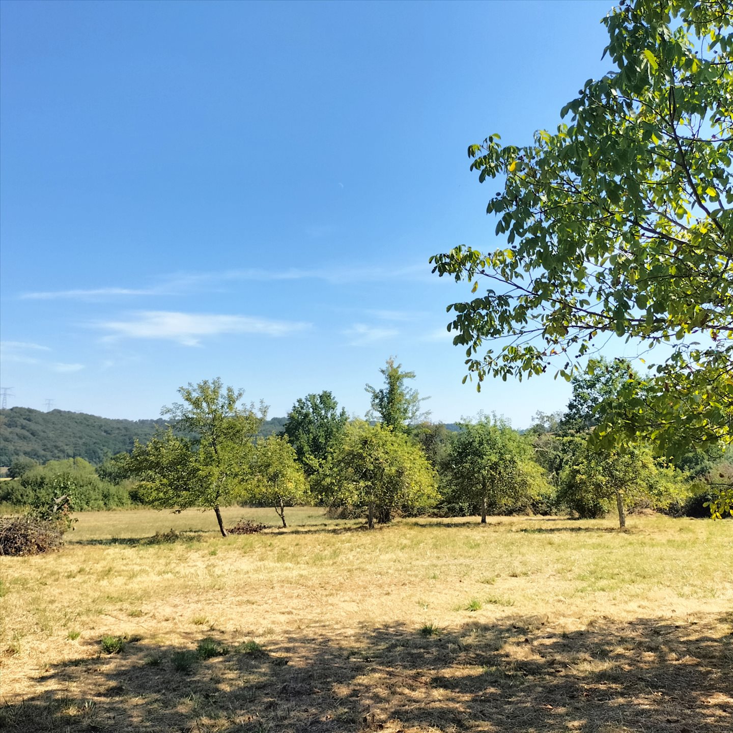 Maison à vendre, 180m², Castelnau-Magnoac