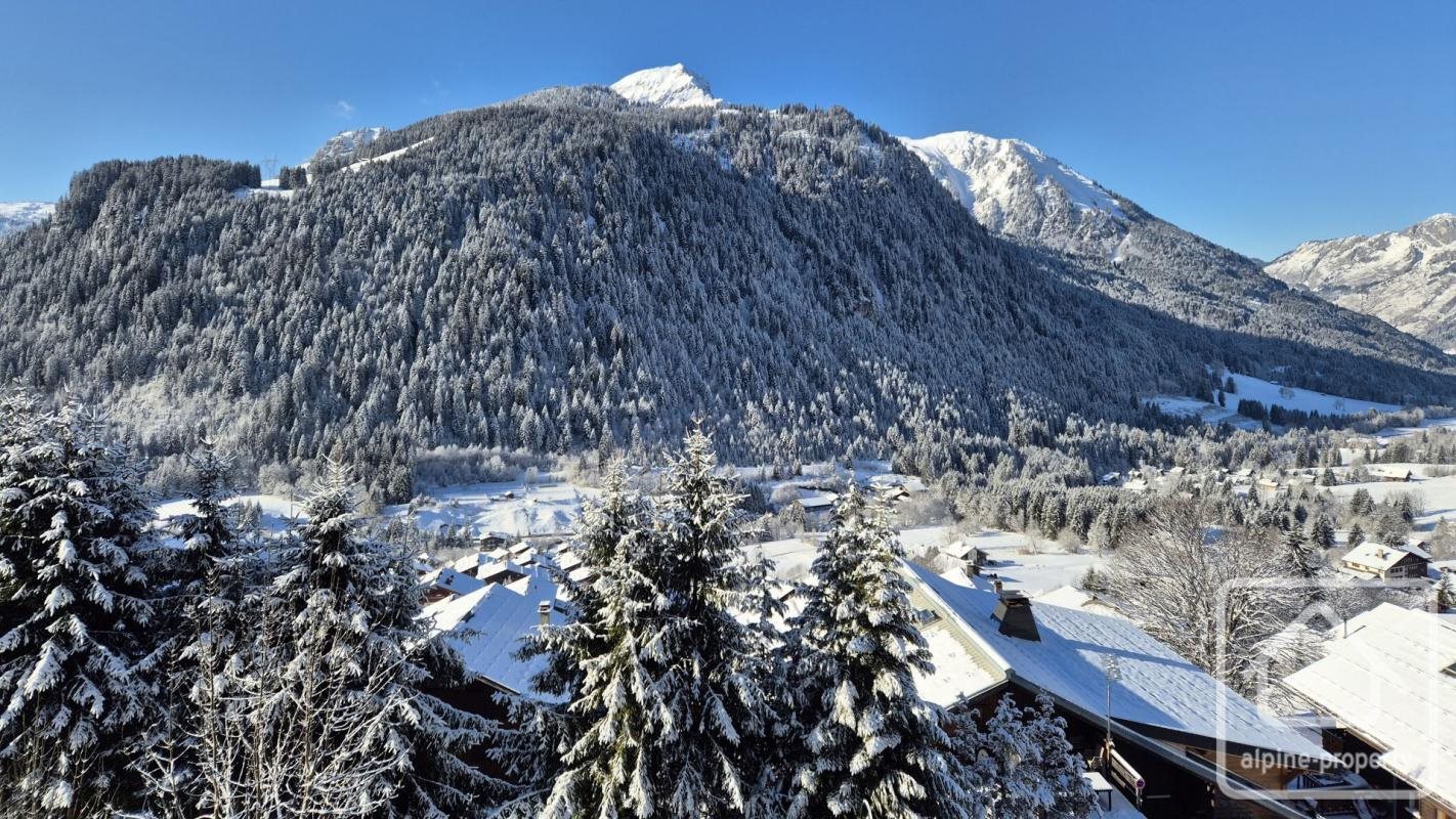 Appartement – Châtel, Le Tenne, La Vorraz - Vue 5