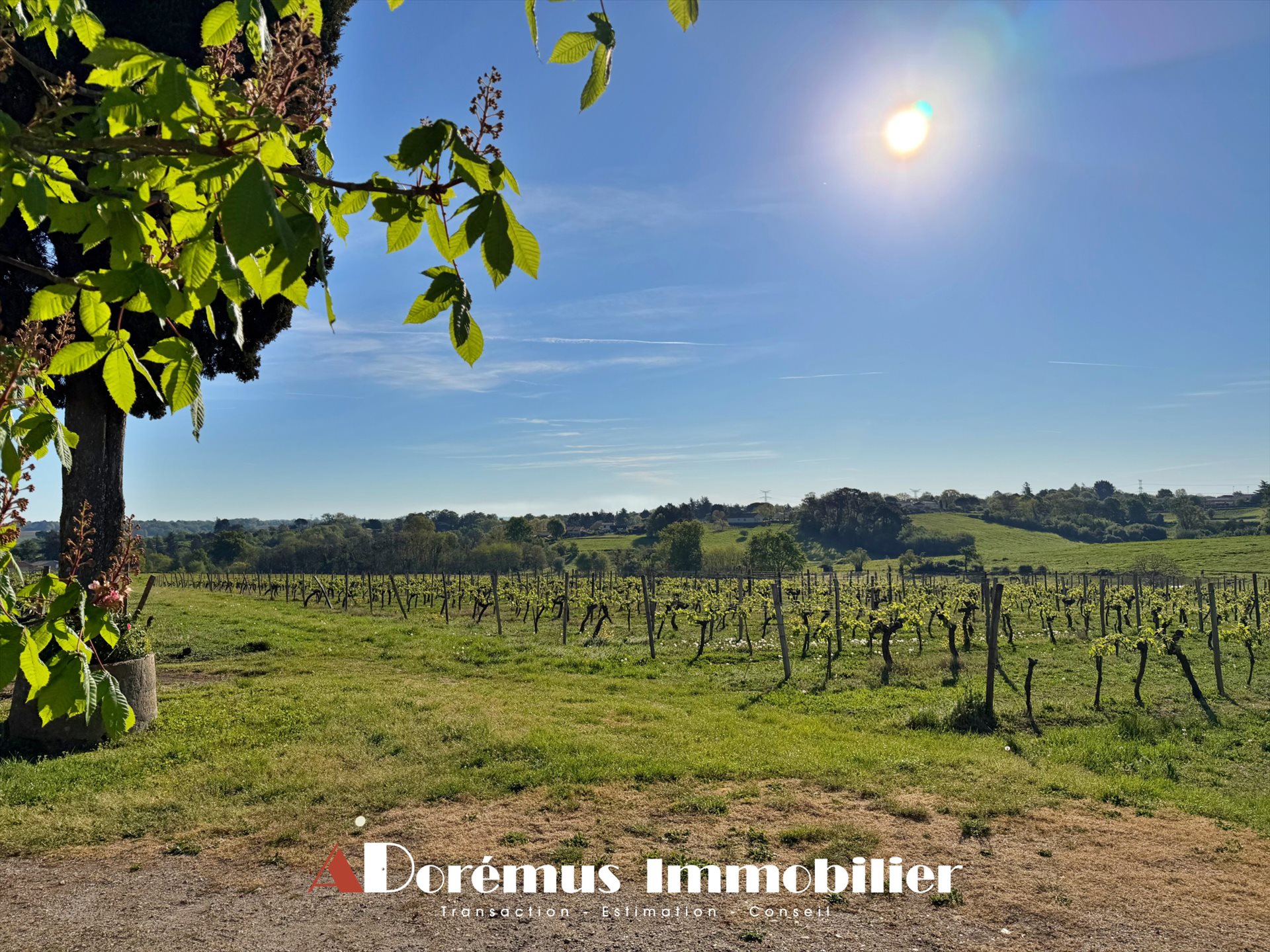 Appartement à louer, 247m², Quinsac