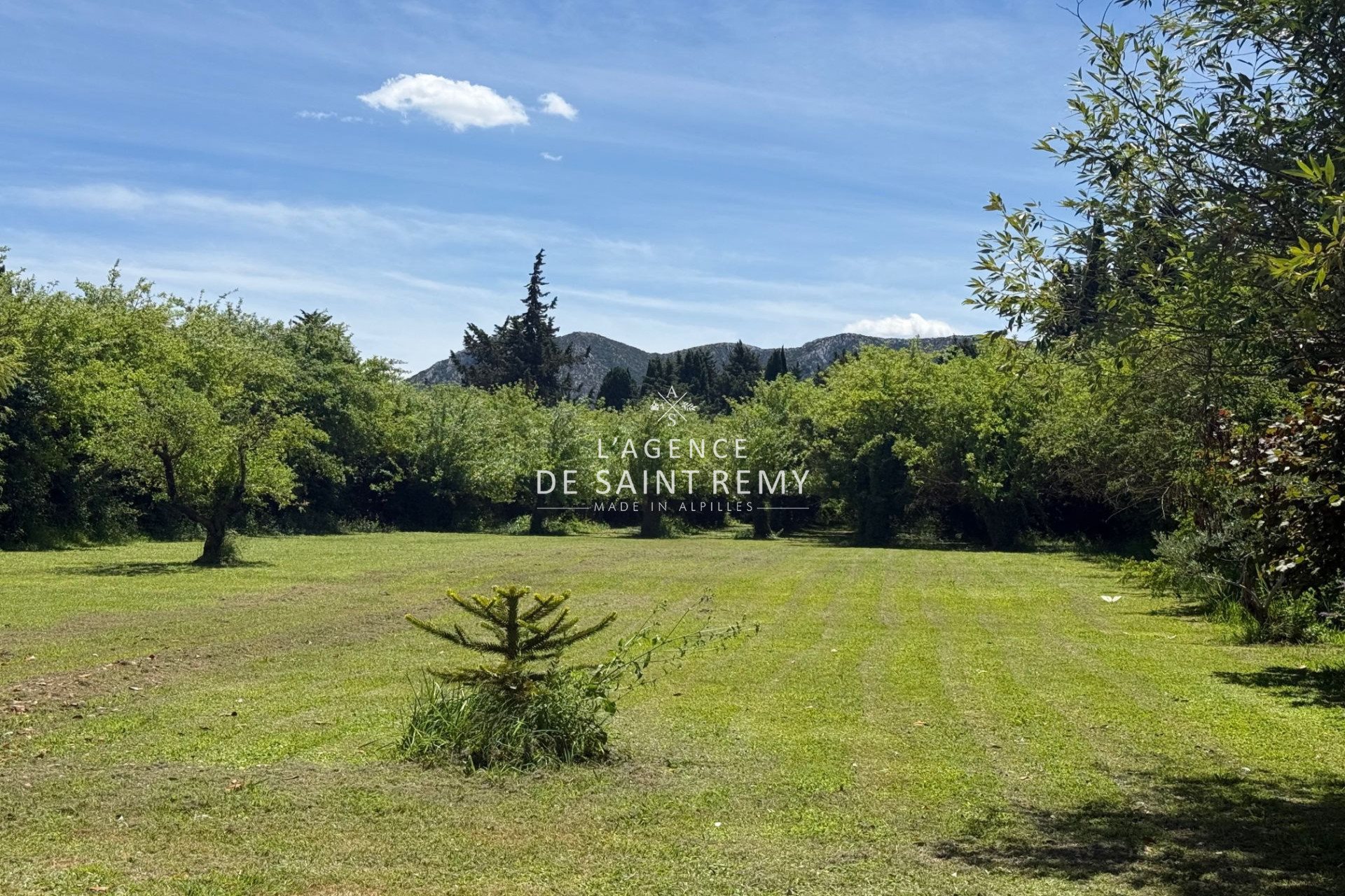 Maison à vendre, 92m², Saint-Rémy-de-Provence