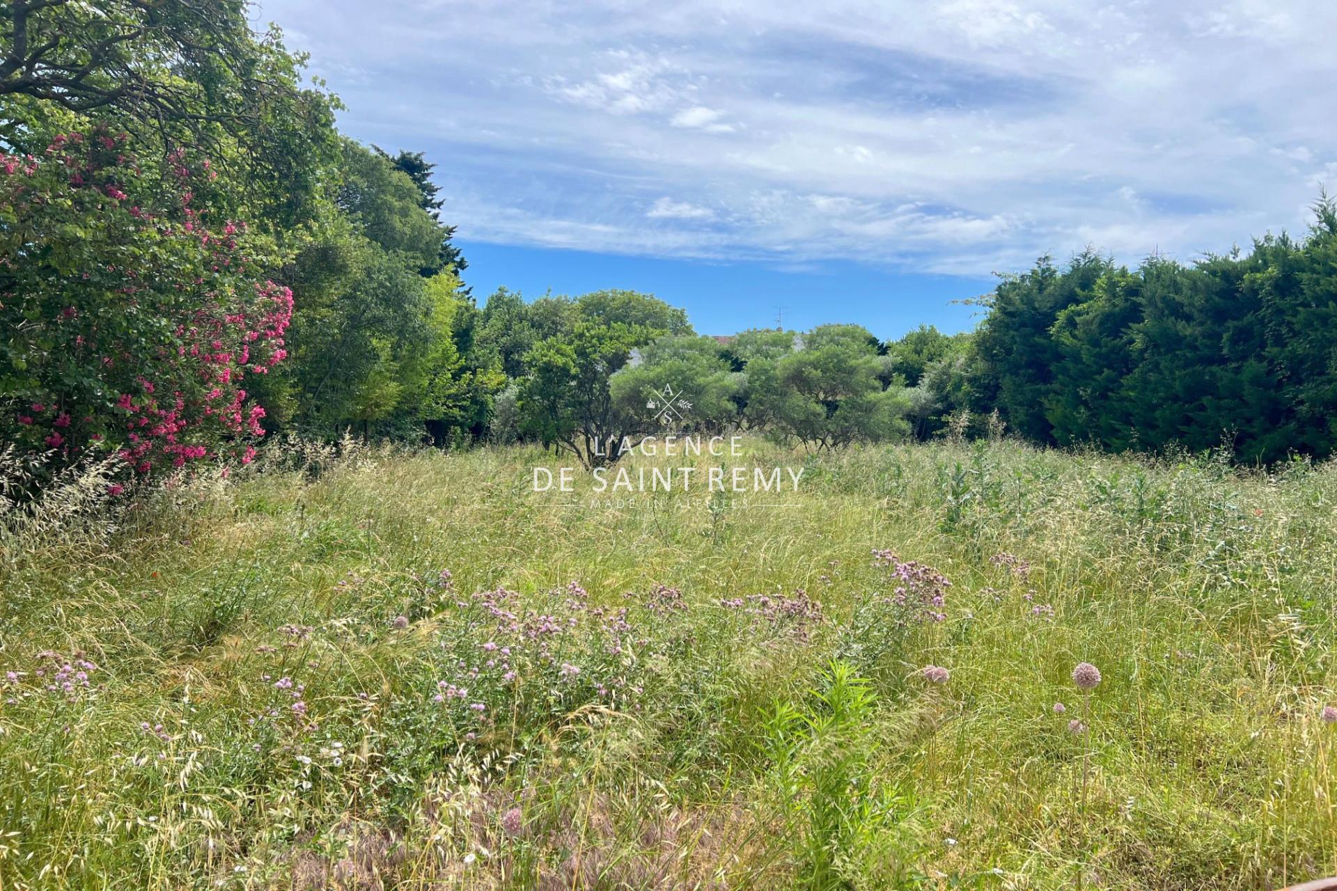 Maison à vendre, 225m², Saint-Rémy-de-Provence