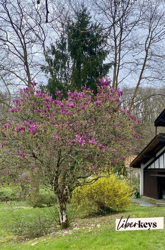 Maison à vendre, 184m², Villefranque