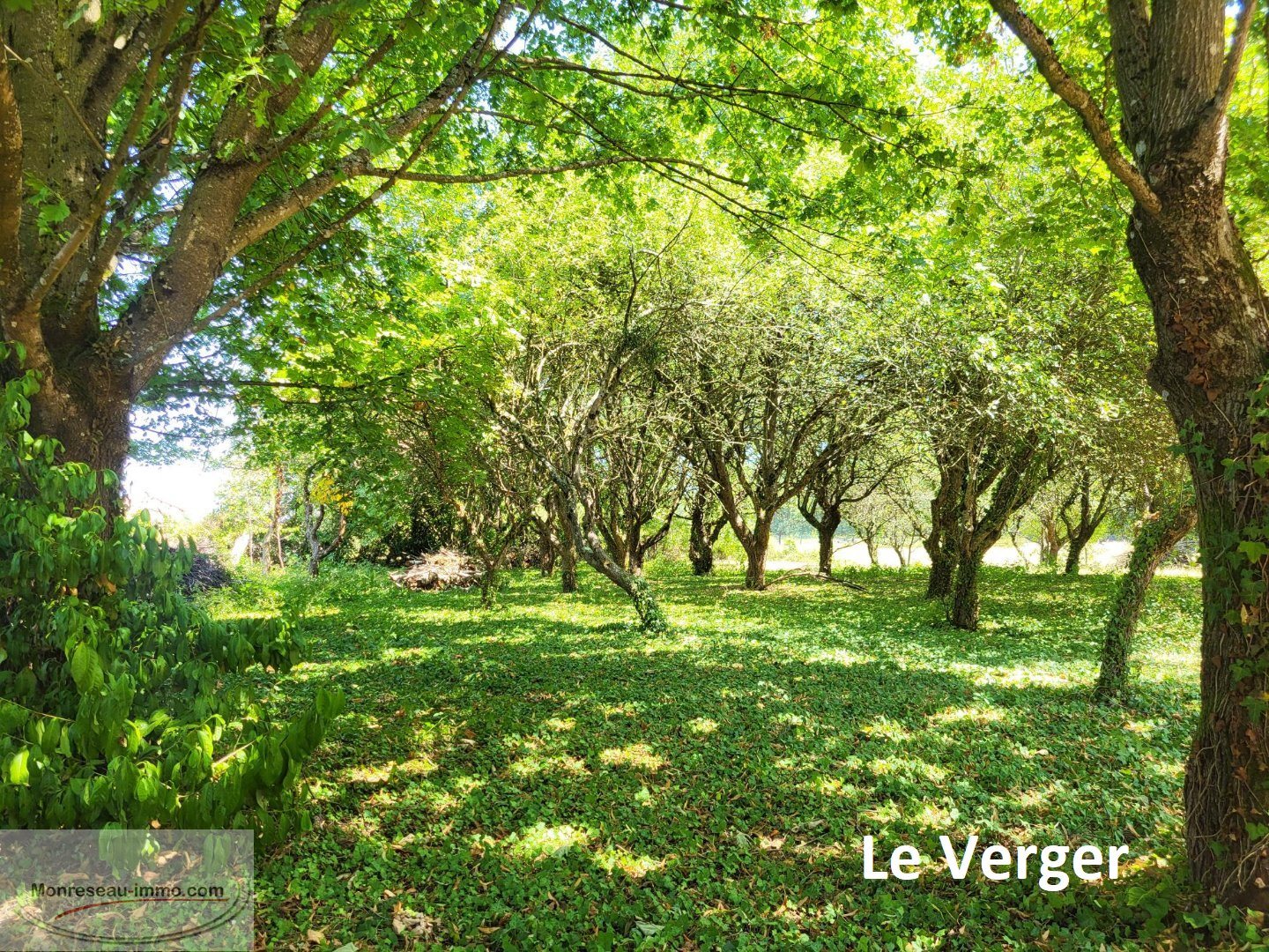 Maison à vendre, 165m², Chavannes-sur-Reyssouze