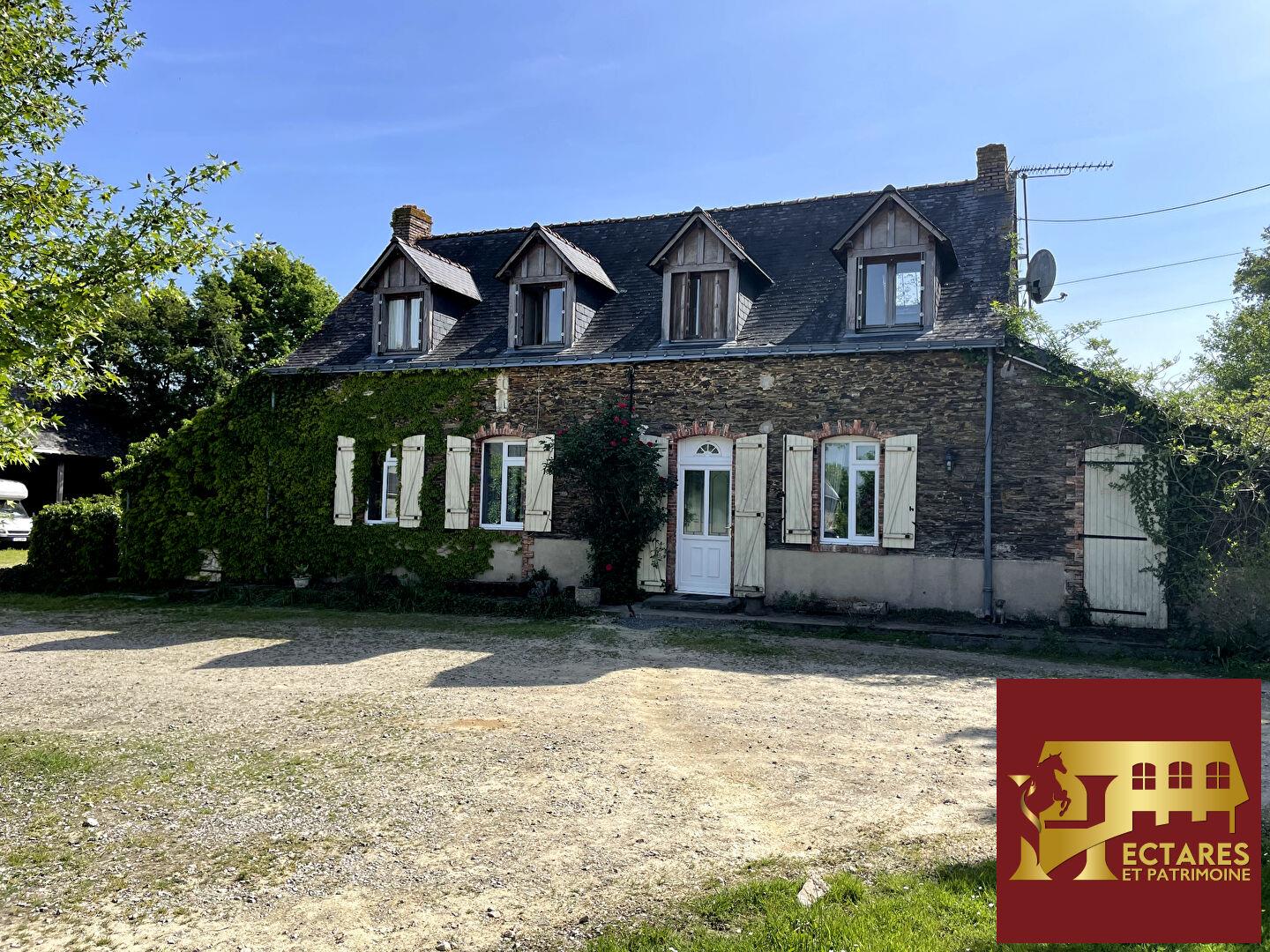 Maison à vendre, 400m², Riaillé