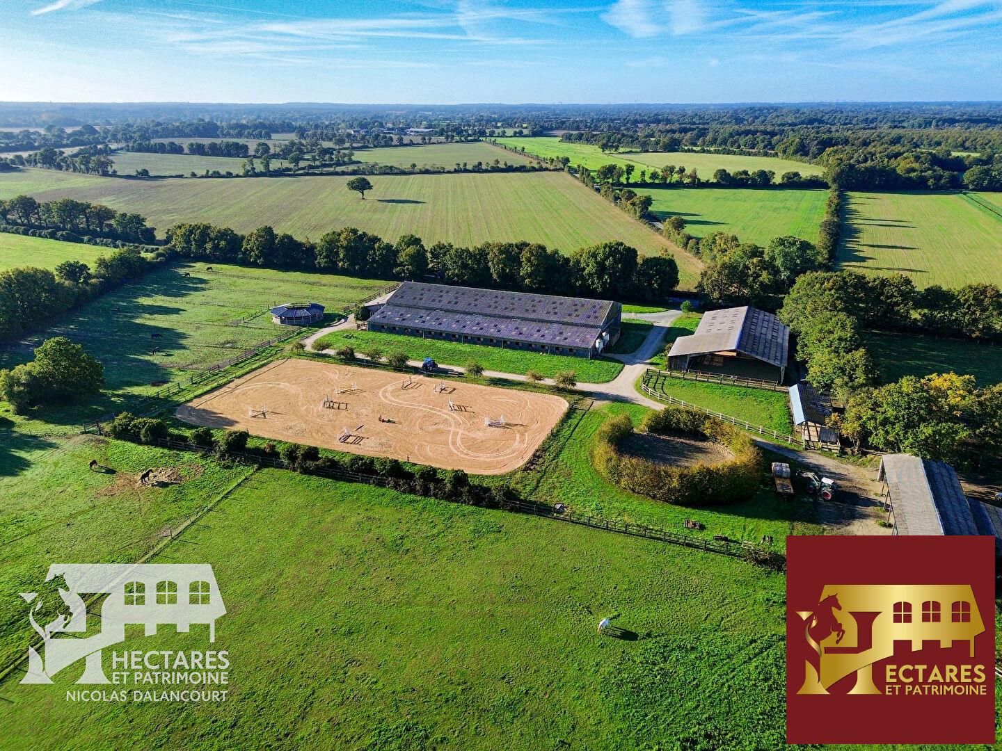 Maison à vendre, 250m², Blain