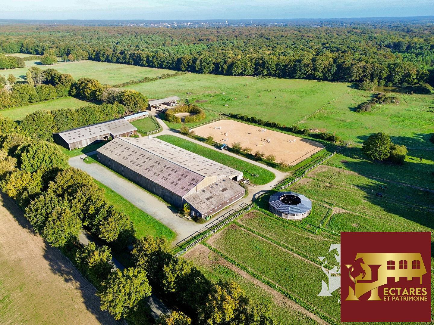 Maison à vendre, 250m², Blain