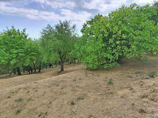 Terrain, terrain 1420 m² — Grasse (Alpes-Maritimes) · 300 000 €