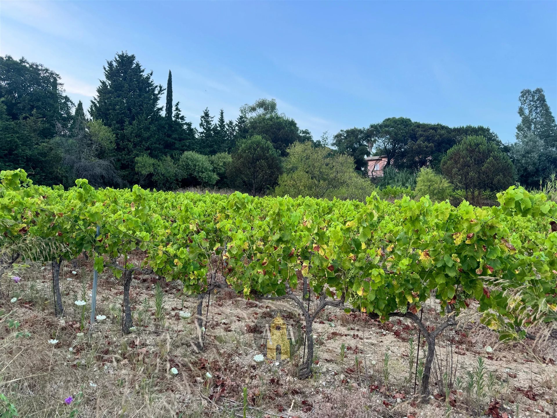 Maison – Saint-Tropez, Var - Plus