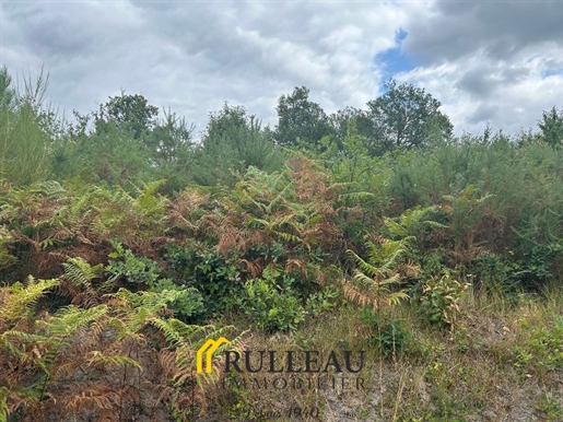 Terrain 7003 m² · à Clérac · 7 003 m² · 93 500 €
