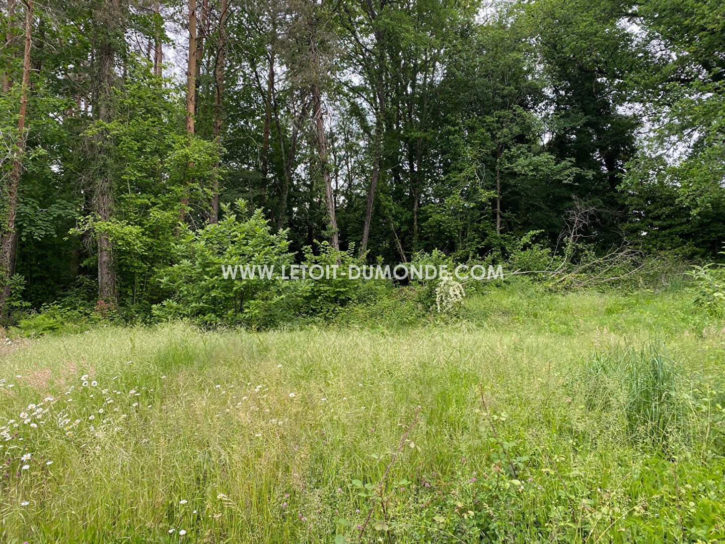 Lovely wooded plot near Périgueux - Vue 6