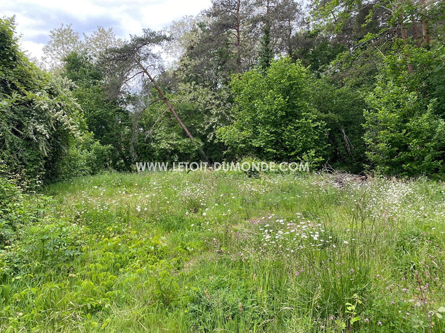 Lovely wooded plot near Périgueux - Vue 2