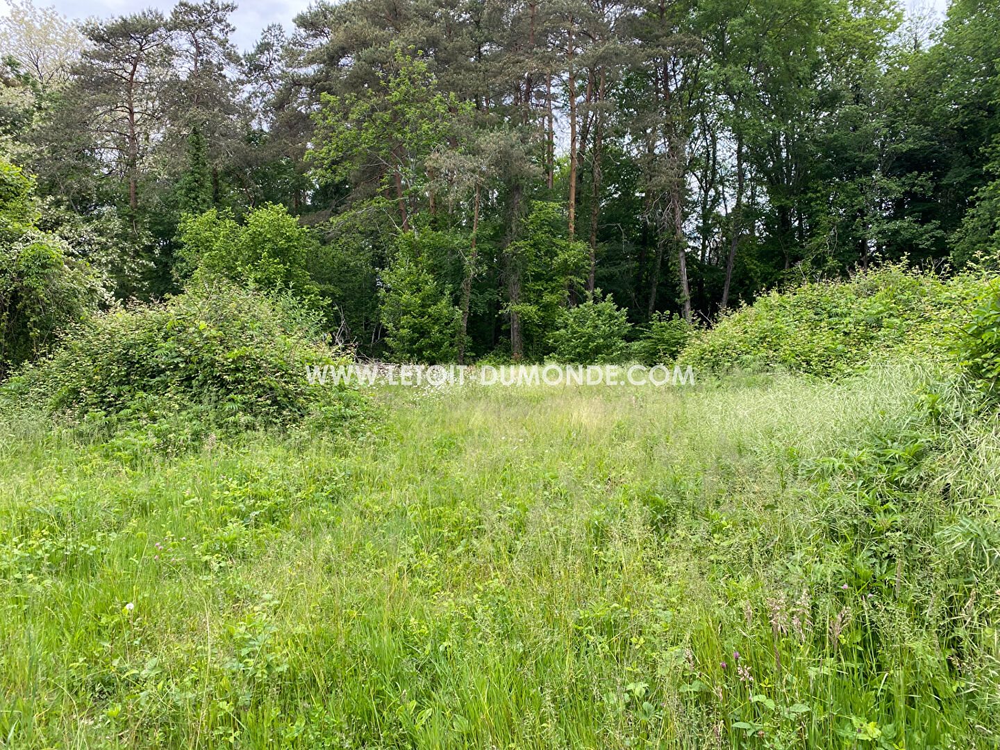 Lovely wooded plot near Périgueux - Vue 3