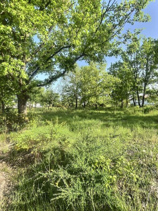 Terrain 2090 m² · à Montbeton · 2 090 m² · 66 000 €