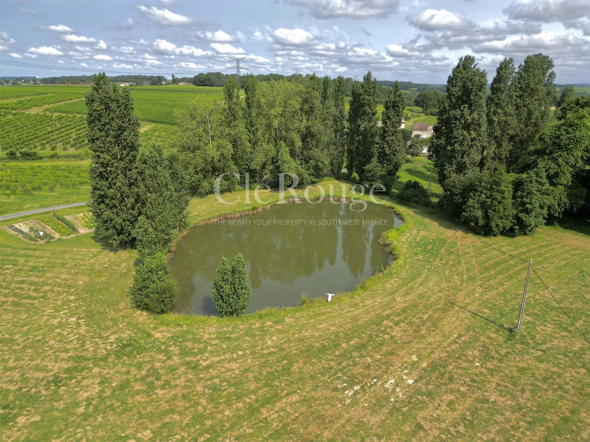 Maison à vendre, 440m², Gensac