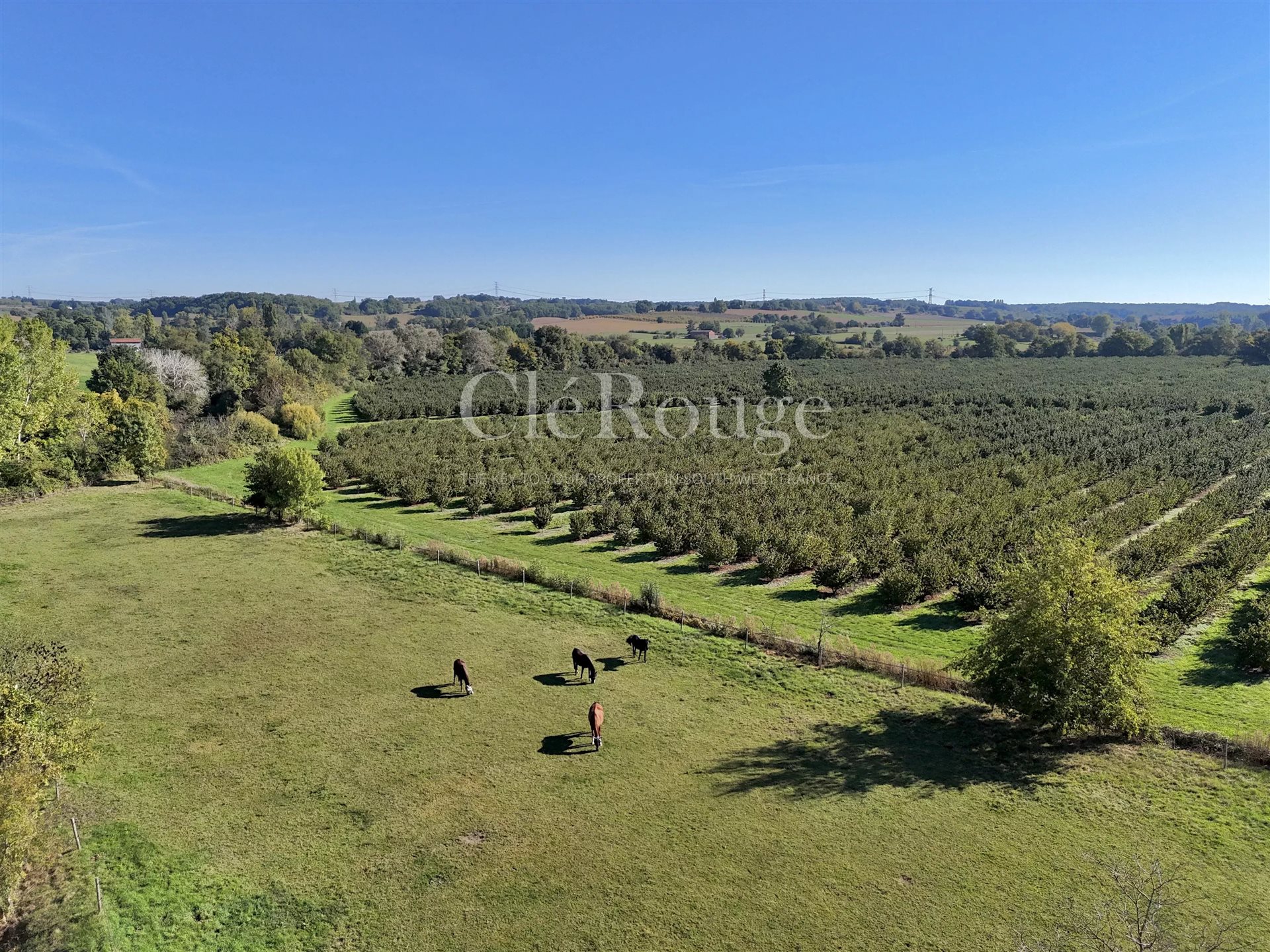 Maison à vendre, 170m², Duras