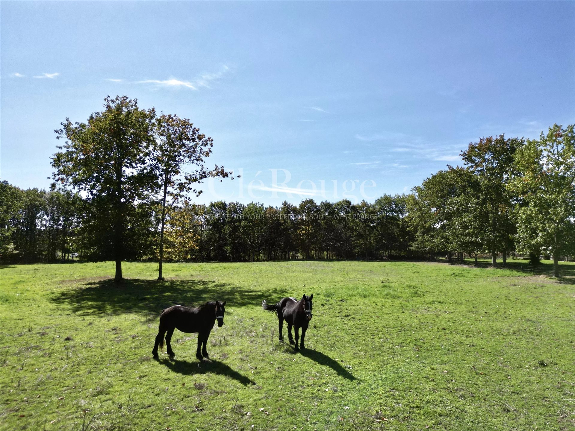 Maison à vendre, 142m², Duras