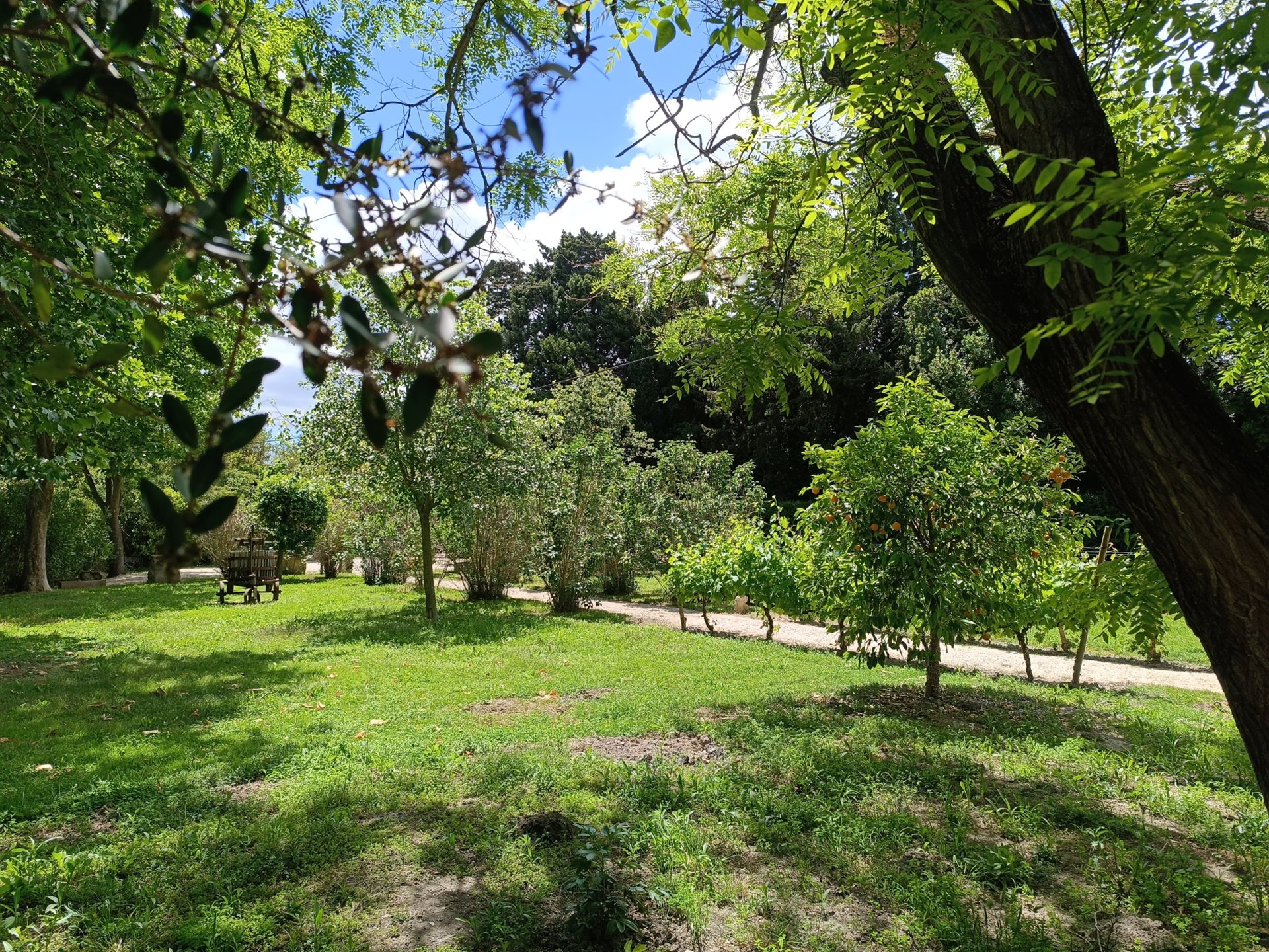 Maison à vendre, 320m², Arles