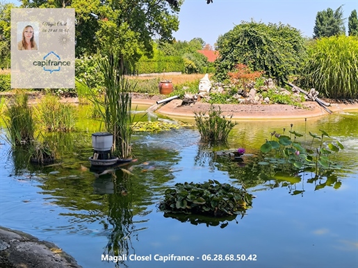 Maison 8 pièces 165 m² · à Pierre-de-Bresse · 165 m² · 295 000 €