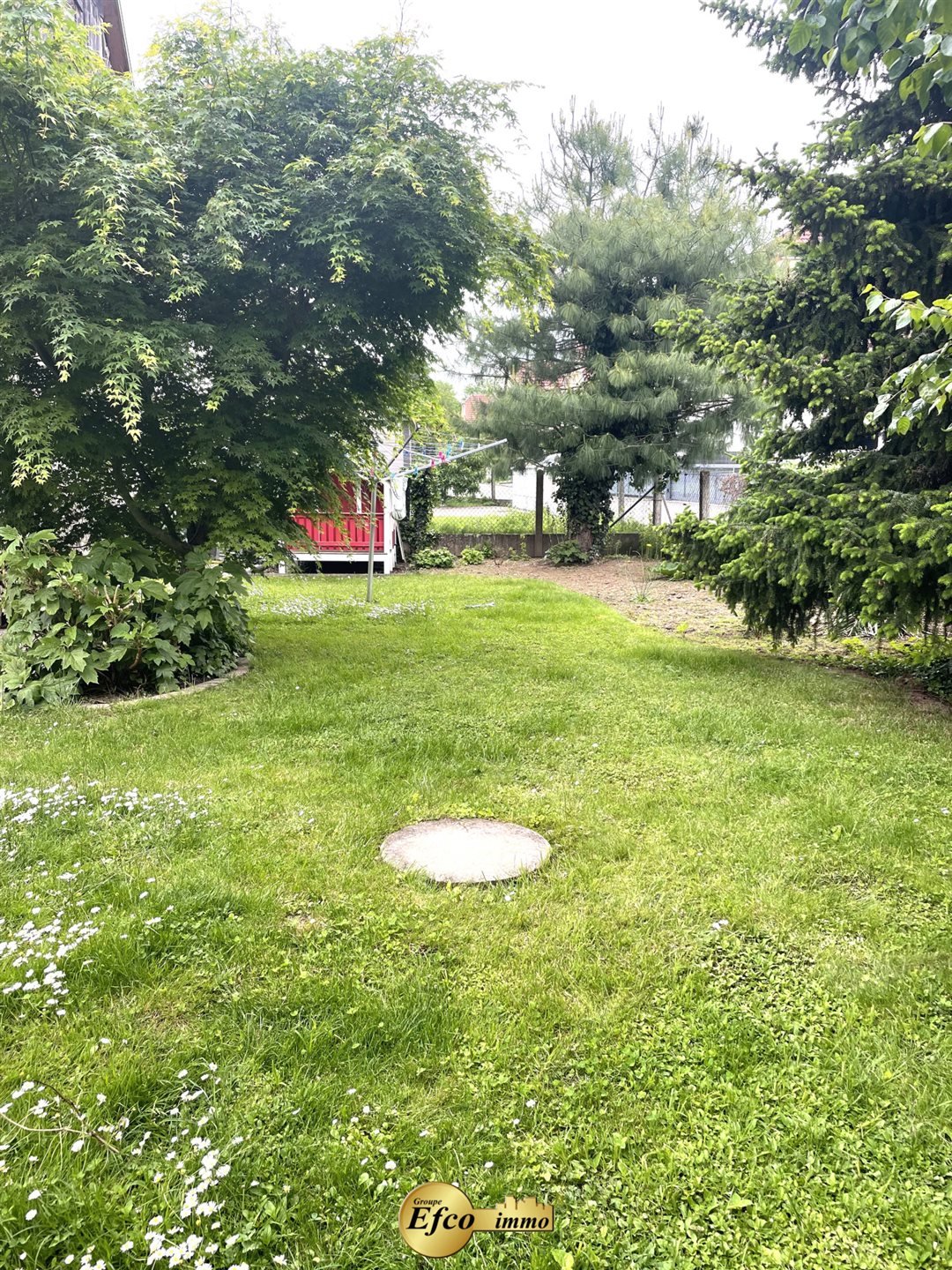 Maison à vendre, 177m², Hagenthal-le-Haut