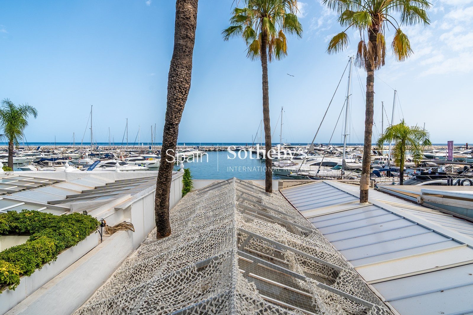 Marbella (Málaga) photo 4