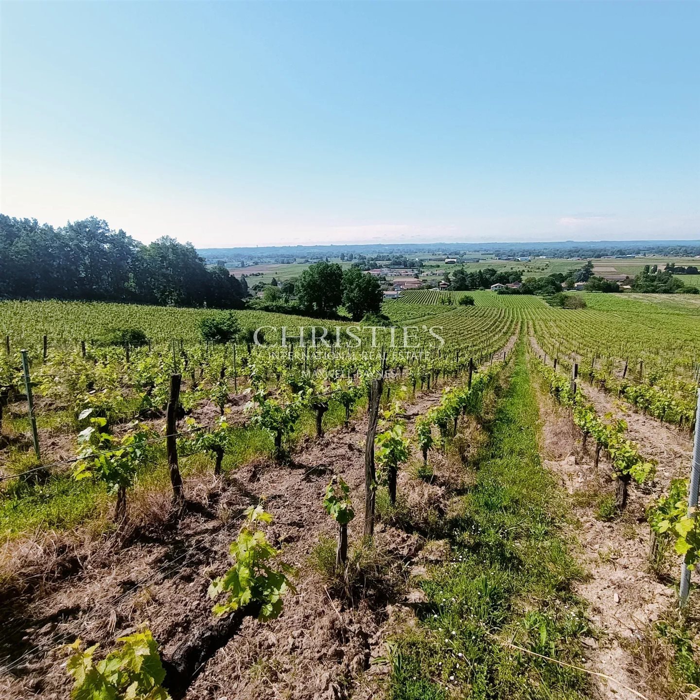 Maison à vendre, 310m², Saint-Magne-de-Castillon