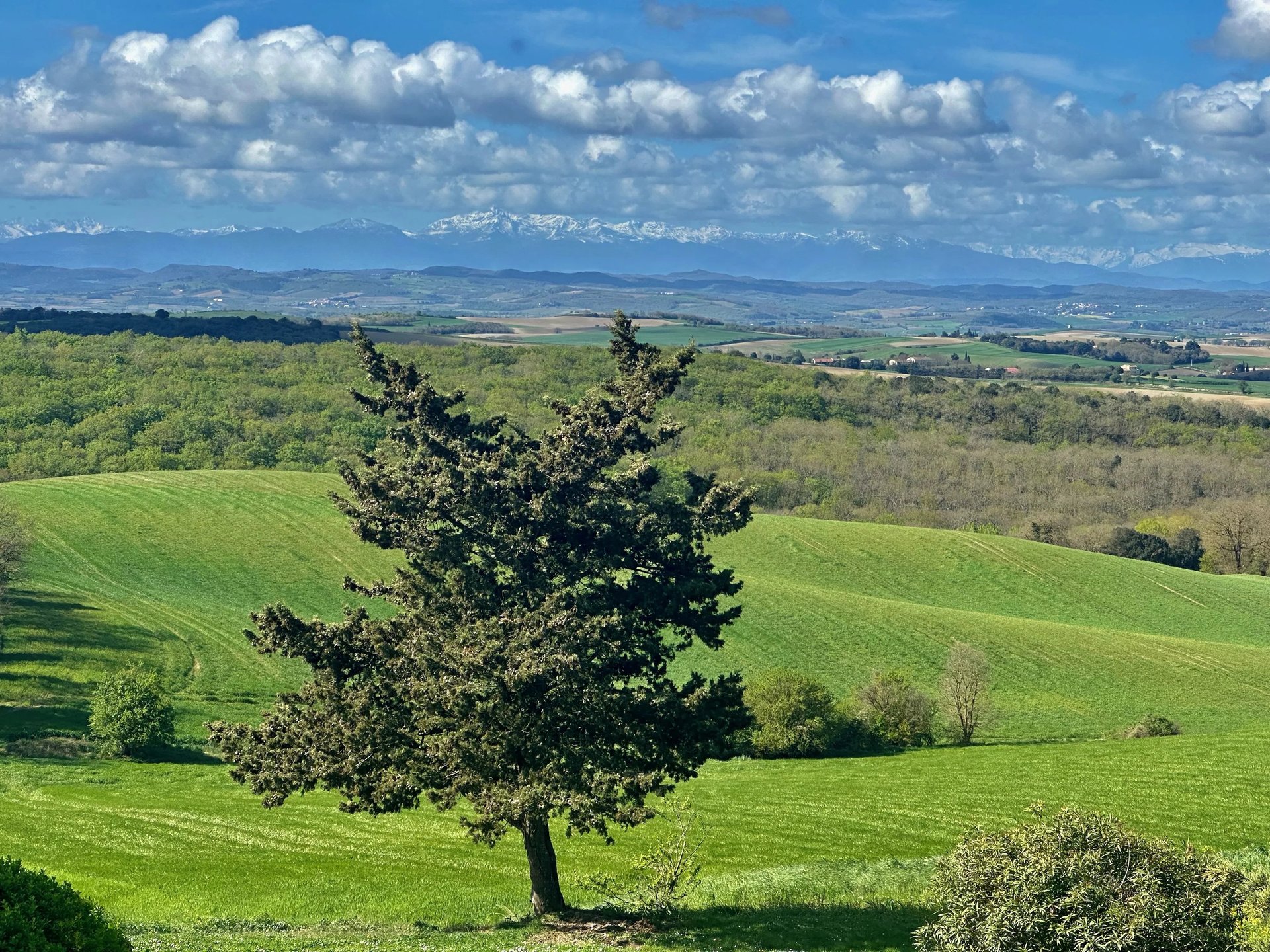 Maison – Carcassonne - Vue 4