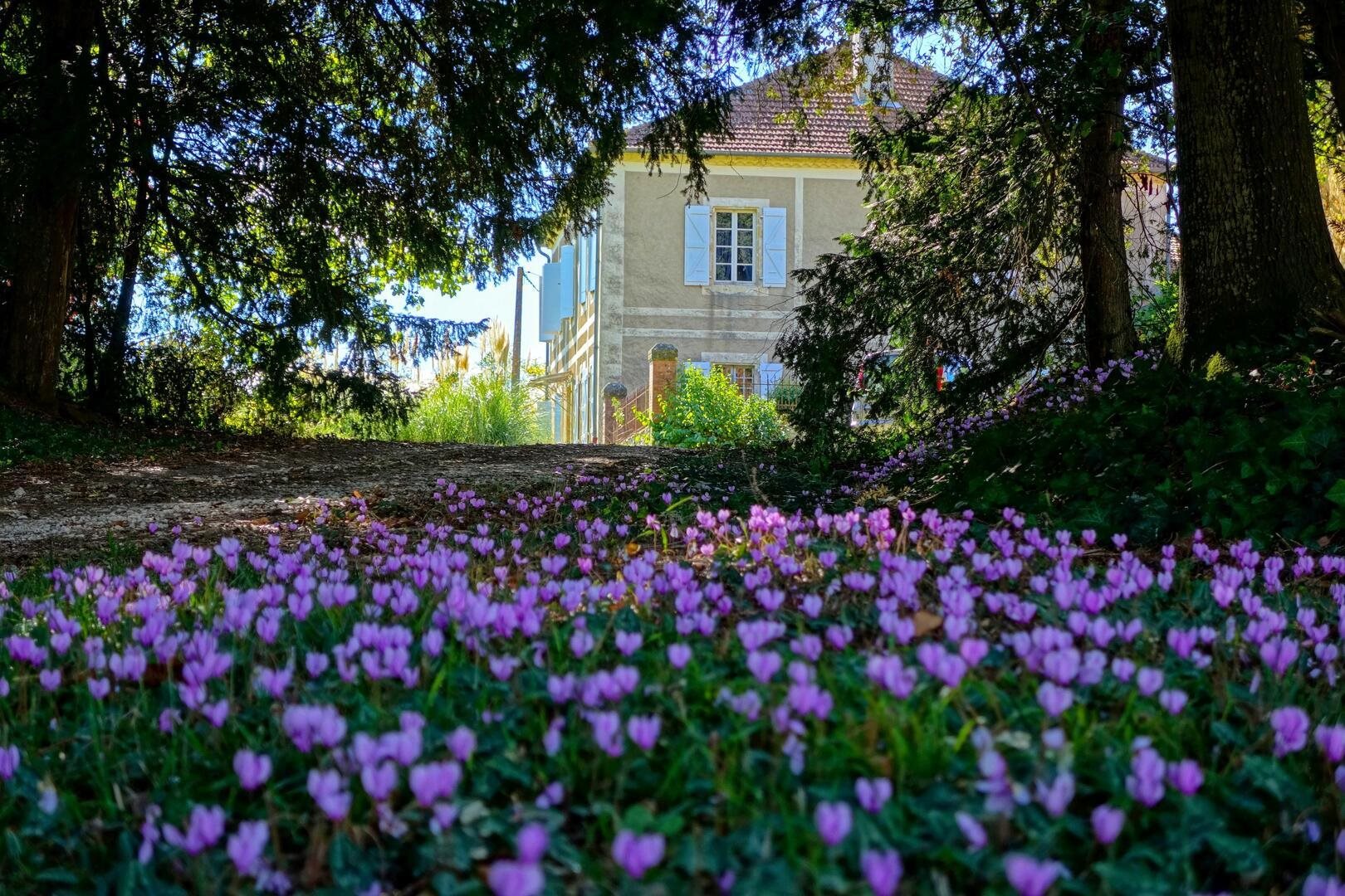 Maison à vendre, 293m², Vic-Fezensac