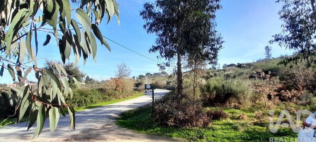 Tierra en el Coimbra, Oliveira do Hospital
