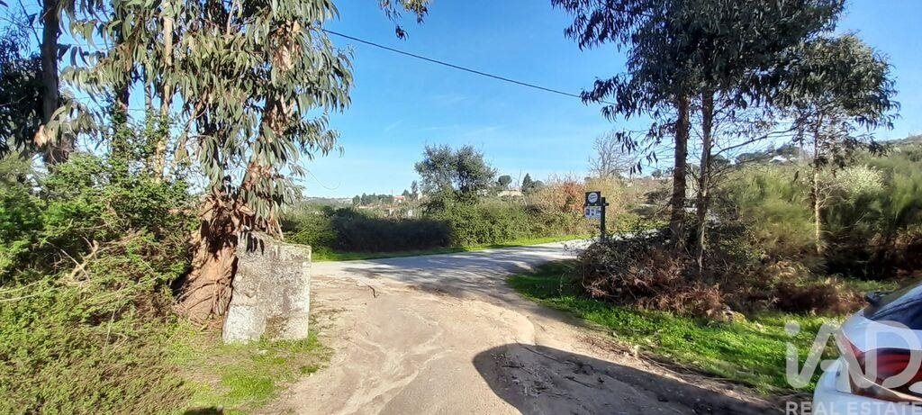 Tierra en el Coimbra, Oliveira do Hospital
