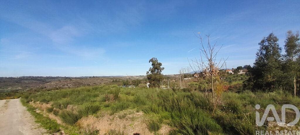 Tierra en el Coimbra, Oliveira do Hospital