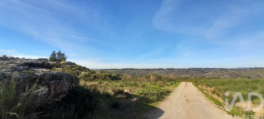 Tierra en el Coimbra, Oliveira do Hospital