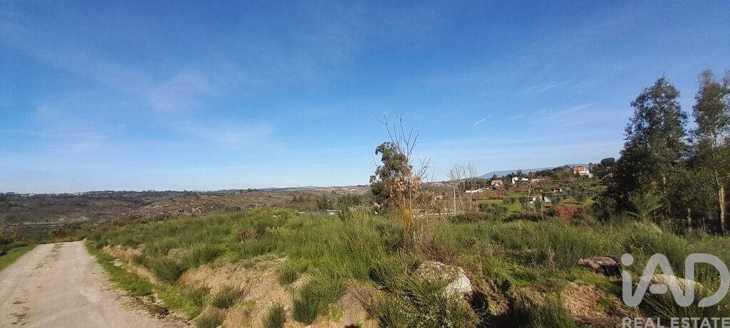 Tierra en el Coimbra, Oliveira do Hospital