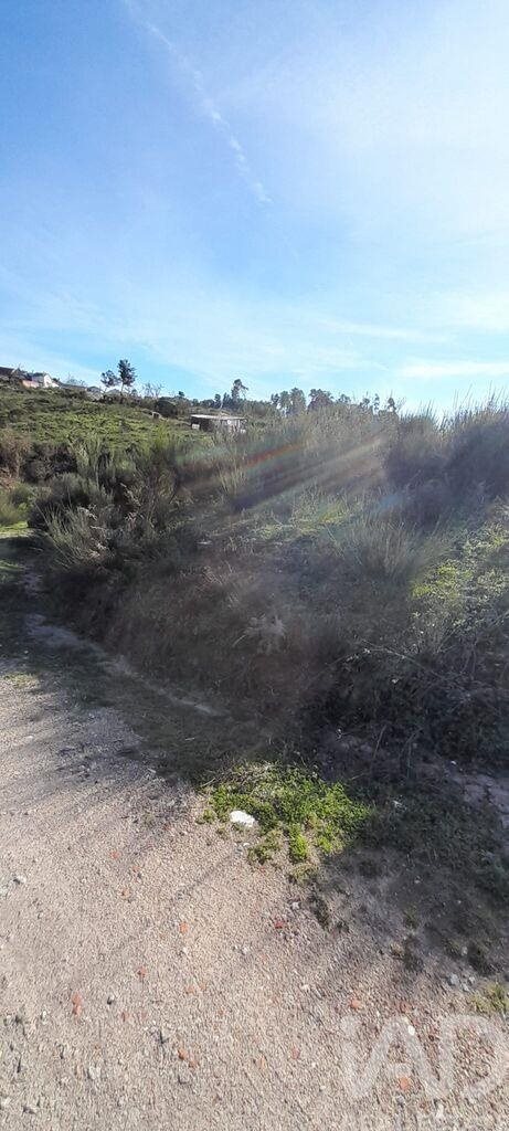 Tierra en el Coimbra, Oliveira do Hospital