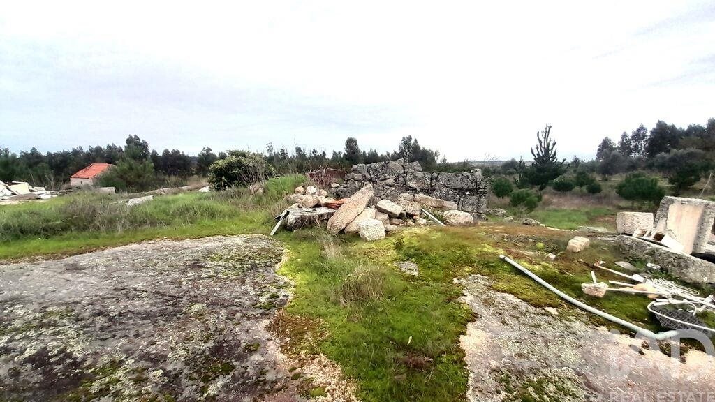 Tierra en el Coimbra, Oliveira do Hospital