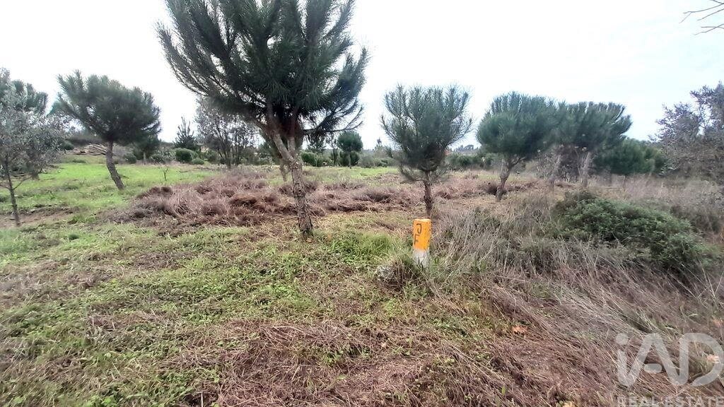 Tierra en el Coimbra, Oliveira do Hospital