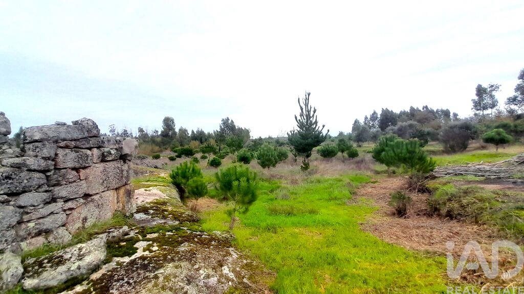 Tierra en el Coimbra, Oliveira do Hospital