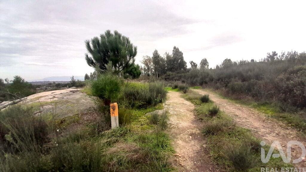 Tierra en el Coimbra, Oliveira do Hospital