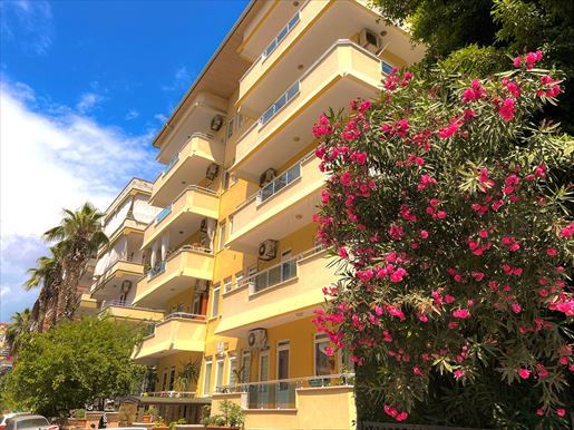 Advert pic 0