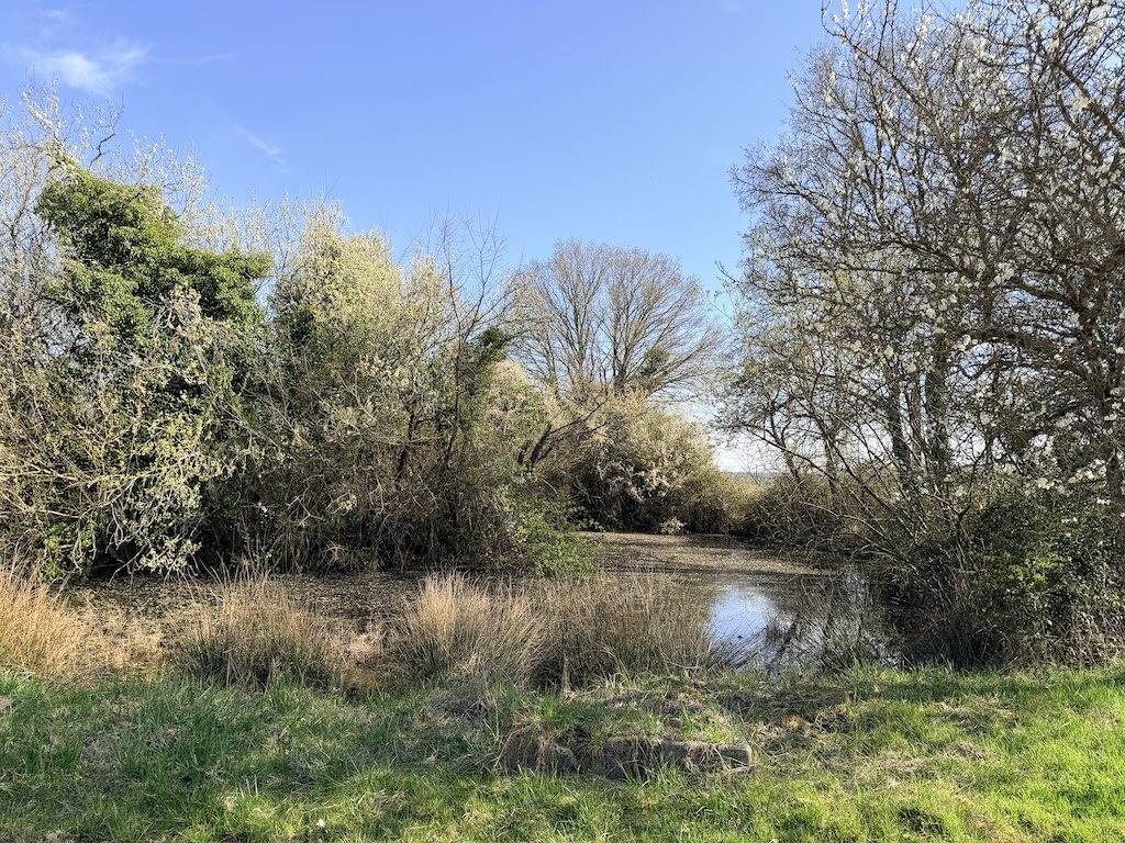 Maison à vendre, 86m², Charny Orée de Puisaye